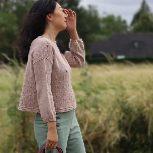 patron-tricot-pull-femme-leizu