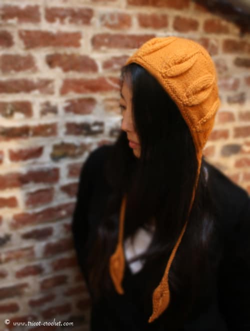 golden leaves bonnet